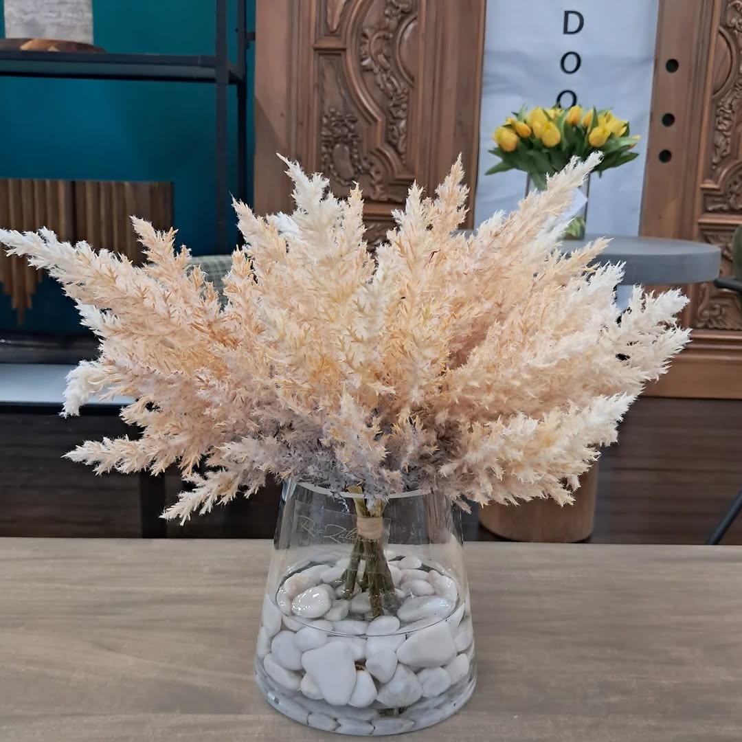 Pampas beige